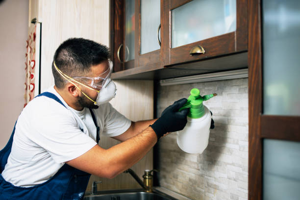 Pest Prevention Services in Toledo, OR