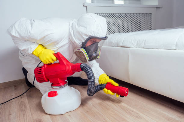 Best Rat Extermination Near Me  in Toledo, OR