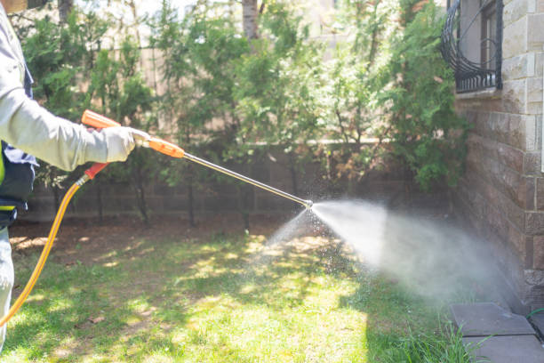 Best Flea Control Services  in Toledo, OR