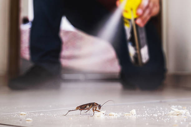 Best Wasp Removal Services  in Toledo, OR