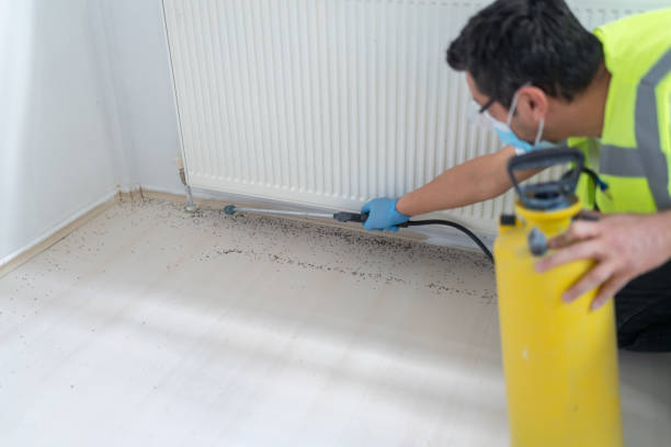 Best Commercial Pest Control Services  in Toledo, OR